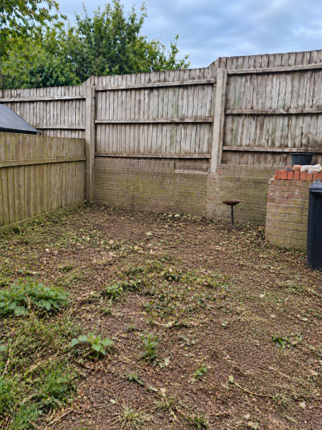 Garden after overgrowth clearance and tidy-up